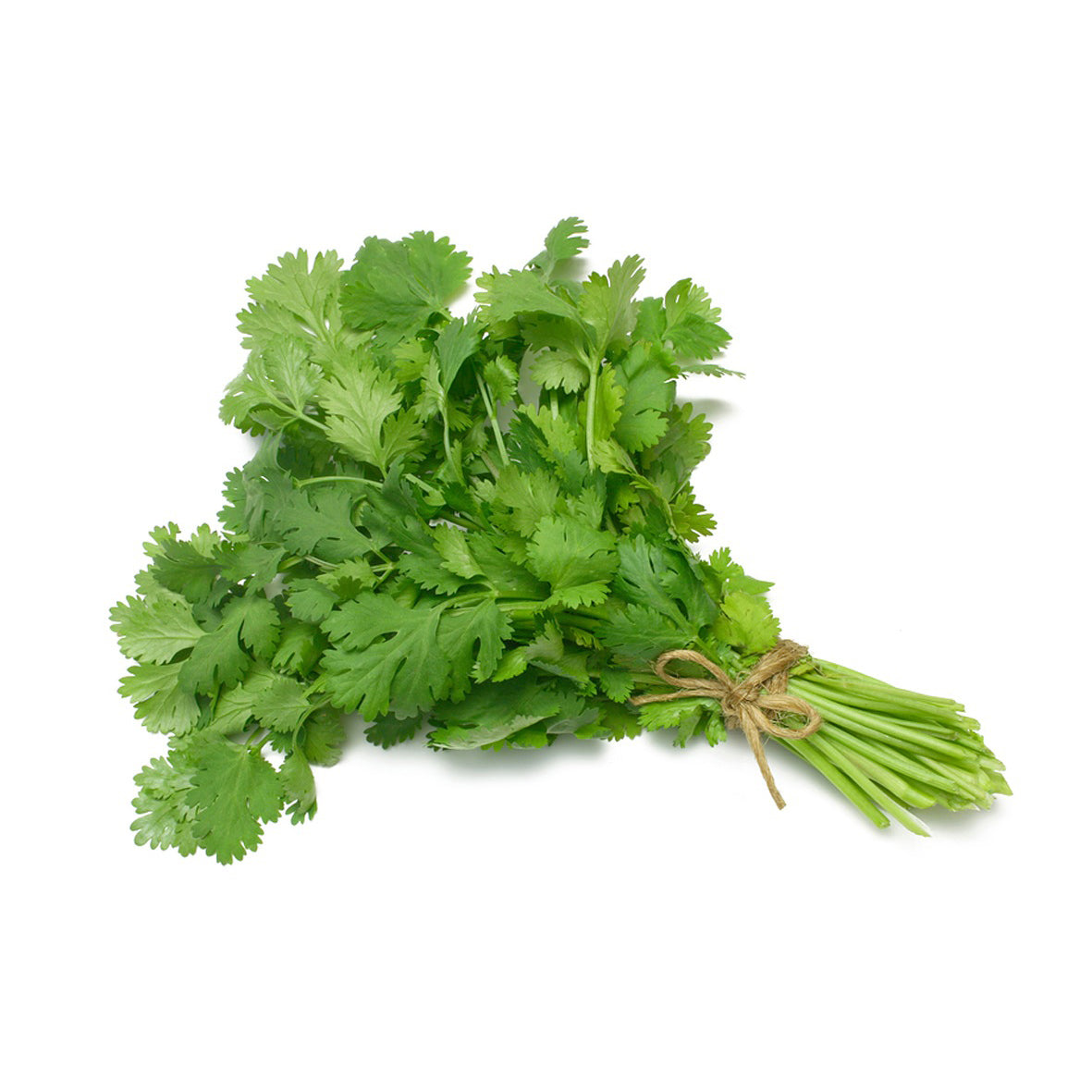 Coriander (Per Piece)