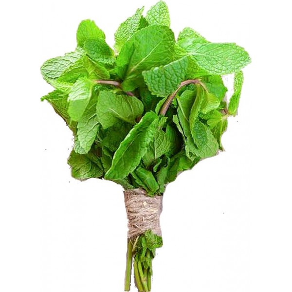 النعناع (لكل قطعة)