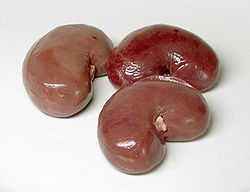 Lampaan Munuaiset