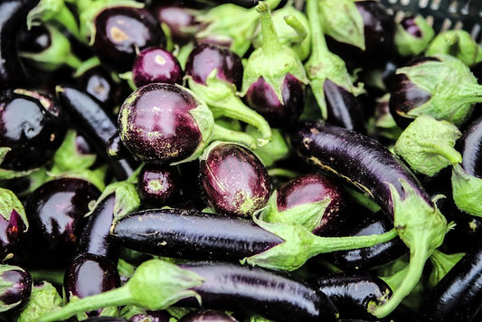 Eggplant (Per Kilo)